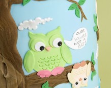 'Owl Wedding Cake' (Ollie!)